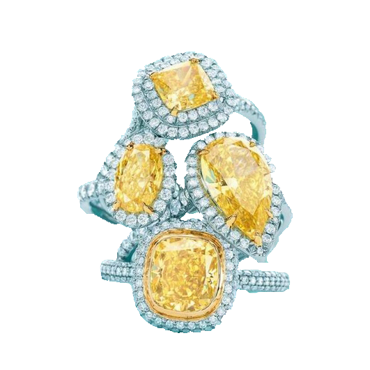 Constella clip earrings